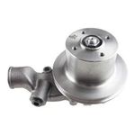 BOMBA D AGUA C/ POLIA MF 265 A 290/42665/4275 PK4236/4248 41313201