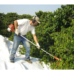 PANO PARA COLHEITA DE CAFÉ COMUM 12x2,70 MT O PAR