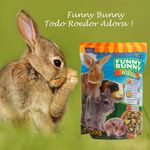 RAÇÃO FUNNY BUNNY BLEND 500GR