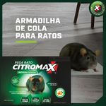 Cartela Pega Rato Citromax Não Toxico Ratoeira Adesiva
