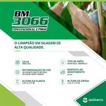 Sementes De Milho Verde Híb. Biomatrix 3066 Vt Pro3 - 2 Kg