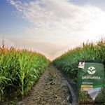 Sementes De Milho Verde Híb. Biomatrix 3066 Vt Pro3 - 2 Kg