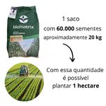 SEMENTE MILHO BIOMATRIX BM3066 PRO3 PON + DER R2M 60S-AGRO-