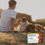 Simparic 20mg 5,1 A 10kg - Caixa C/3 Comprimidos