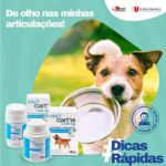 Pró Cart 25 - 2.100mg - Condroitina E Glicosamina