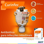 Curinfec Antibiótico Provets Para Cães e Gatos 100ml