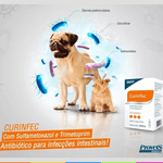 Curinfec Antibiótico Provets Para Cães e Gatos 100ml