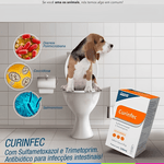 Curinfec Antibiótico Provets Para Cães e Gatos 100ml