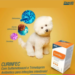 Curinfec Antibiótico Provets Para Cães e Gatos 100ml
