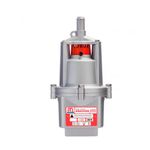 BOMBA ANAUGER 650 5G 127V AGRIC.