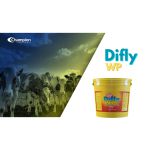 Difly WP – Controle da mosca doméstica 6KG