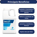 FOLIAR SALUT 5 LITROS