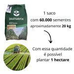 SEMENTE MILHO BIOMATRIX BM3066 PRO3 PON + DER R2M 60S-AGRO-