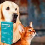 Agemoxi Cl 50mg 10 Comprimidos Antibiótico Cães e Gatos Agener