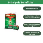 10 Sachês Mata formiga Grão Forte 50g Insetimax Isca Formicida