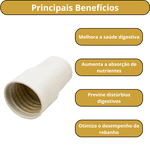JACUZZI PONTEIRA 1.1/2 PVC MANGUEIRA SODRAMAR