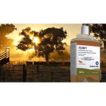 Flock 1,10% Antiparasitário Doramectina Bovinos e Ovinos 500Ml