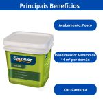 CIACOLLOR ACRILICO FOSCO CAMURCA GALÃO 3,6 L