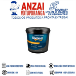 CIACOLLOR SELADOR ACRILICO PLUS GALÃO 3,6 L