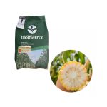 SEMENTE MILHO BIOMATRIX BM3066 BTMAX FORTIS NDB C2M 2KG (NÃO RESISTENTE A GLIFOSATO)(AGRICOLA)