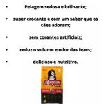 MAGNUS RAÇÃO TODO DIA CÃO ADULTO CARNE 15KG