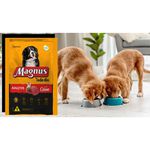 MAGNUS RAÇÃO TODO DIA CÃO ADULTO CARNE 15KG