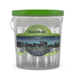 Balde Com 50 Unidades - Seringa Mast Belst L