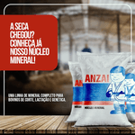 SAL ANZAIPHOS 60 (SACO 30KG)