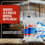 SAL ANZAIPHOS 60 (SACO 30KG)