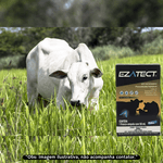ELANCO EZATECT 50 ML