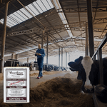 Creolina 1 Litro - Pearson
