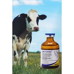ZOETIS DECTOMAX 50 ML