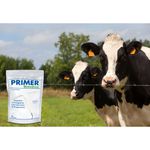 AGENER PRIMER MONODOSE COM 10 DISPOSITIVOS