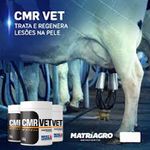 REAL H POMADA CMRVET 190 G