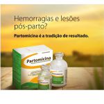Partomicina Tratamento Pós Parto Bovinos 20Ml Ceva