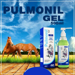 Pulmonil Espasmolítico Bronquial Gel Oral 480g Vetnil