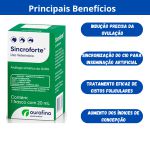SINCROFORTE 20 ML