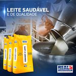 REAL H NUCLEO HOMEOBASE CONVERT H LEITE 20KG