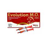 EVOLUTION M.O. 40 GRAMAS (CAIXA COM 02 BISNAGAS)