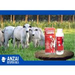 Couro Limpo Pulverização Ectoparasiticida de ampla ação 3 em 1 - Noxon