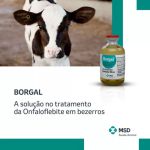BORGAL 50 ML