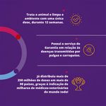 Antipulgas e Carrapatos Bravecto MSD para Cães de 4,5 a 10 kg