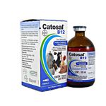 CATOSAL-B 12 100ML