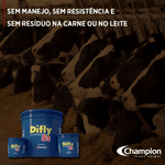 Champion Difly S3 300g