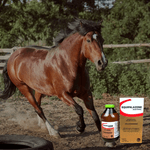 Equipalazone 100ml - Ceva
