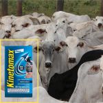 KINETOMAX 50 ML DOSE UNICA 3ML P/ 40 KG