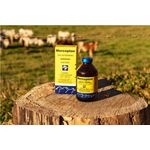 MERCEPTON 100ML