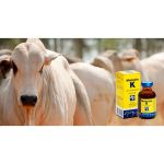 Monovin K Vitamina Coagulante Anti-hemorrágico 20ml - Bravet