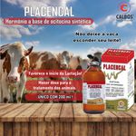 OCITOCINA PLACENCAL 200 ML