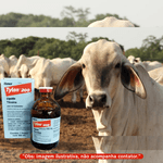 TYLAN 200 100ML GRANDE